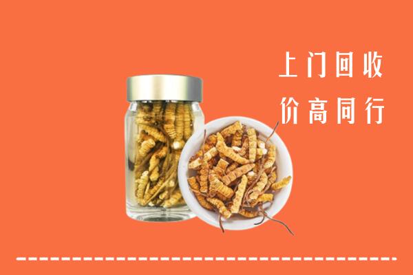 收购行情：临沧回收冬虫夏草