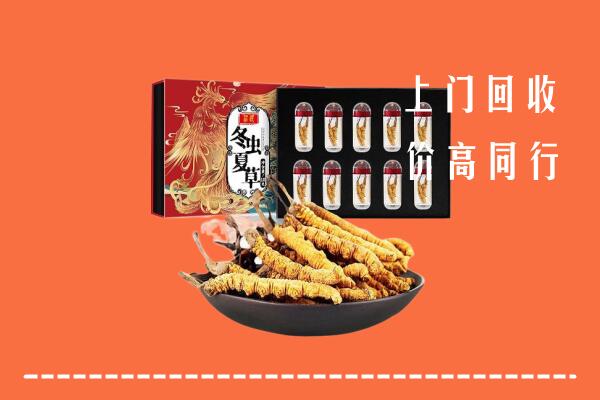 收购行情：临沧回收虫草